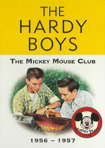 The Hardy Boys poster