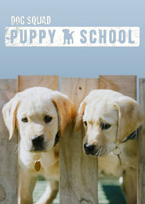 Dog Squad: Puppy School poster