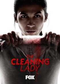 The Cleaning Lady poster
