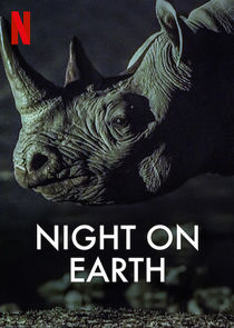 Night on Earth poster