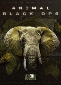 Animal Black Ops poster