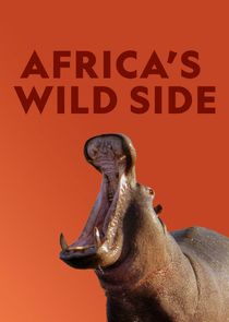 Africa's Wild Side poster