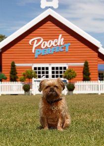 Pooch Perfect poster