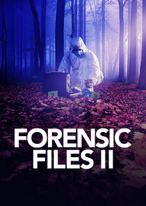 Forensic Files II poster