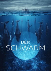 Der Schwarm poster