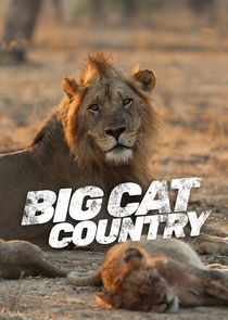 Big Cat Country poster