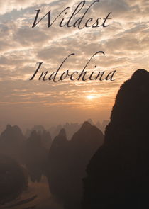 Wildest Indochina poster