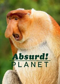 Absurd Planet poster