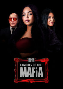 Families of the Mafia poster
