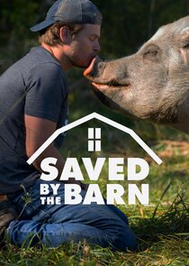 Saved by the Barn poster