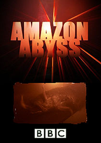 Amazon Abyss poster