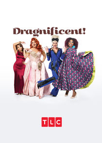 Dragnificent! poster