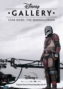 Disney Gallery: The Mandalorian poster