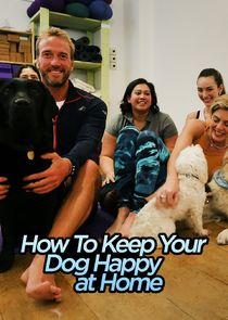 How to Keep Your Dog Happy at Home poster