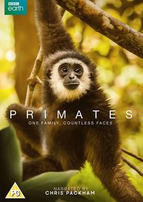 Primates poster