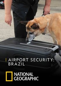 Airport Security: Brazil poster