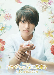 Flowers for Algernon poster