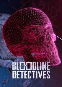 Bloodline Detectives poster