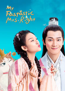 My Fantastic Mrs. Right poster