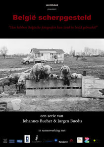 België Scherpgesteld poster