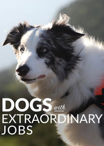 Dogs with Extraordinary Jobs poster