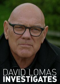 David Lomas Investigates poster