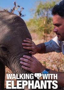Walking with Elephants poster