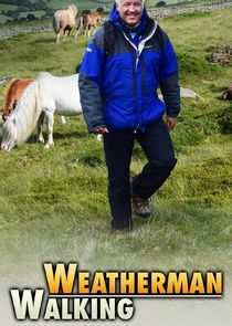 Weatherman Walking poster
