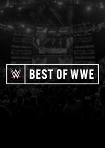 The Best of WWE poster
