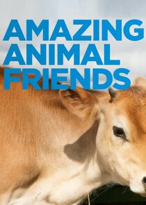 Amazing Animal Friends poster