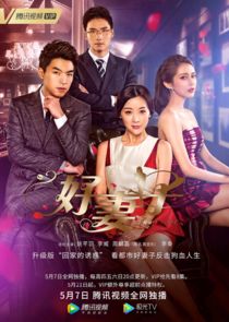 Good Wife poster