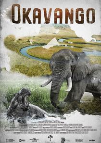 Okavango: River of Dreams poster