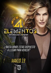 Reto 4 Elementos poster