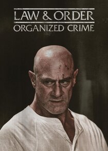 Law & Order: Organized Crime poster