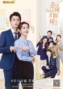 Well Dominated Love poster