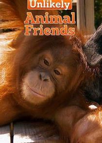 Unlikely Animal Friends poster