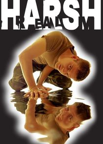 Harsh Realm poster