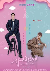 Capture Lover poster