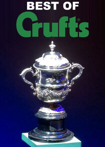 Best of Crufts poster