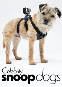 Celebrity Snoop Dogs poster