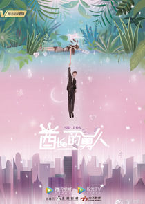 Mr. Fox and Miss Rose poster