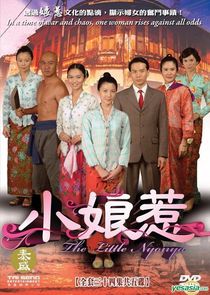 The Little Nyonya poster