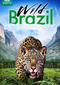 Wild Brazil poster