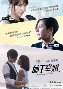 Handsome Stewardess poster