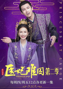 Princess at Large poster