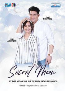 Secret Moon poster