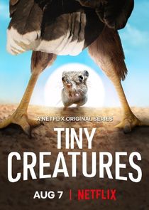Tiny Creatures poster