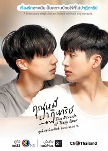 The Miracle of Teddy Bear poster