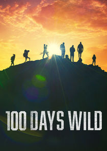 100 Days Wild poster