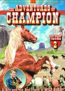 The Adventures of Champion poster
